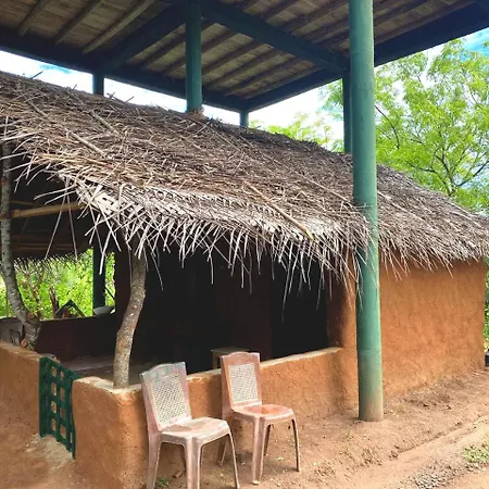Single Trees Yala Villa Palatupana Exterior photo