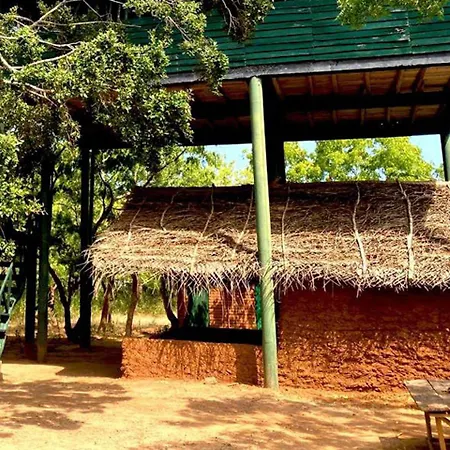 Single Trees Yala Villa Palatupana Exterior photo