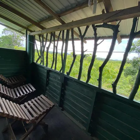Single Trees Yala Villa Palatupana Exterior photo