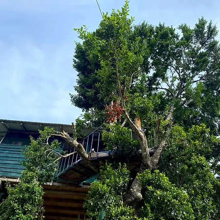Single Trees Yala Villa Palatupana Exterior photo