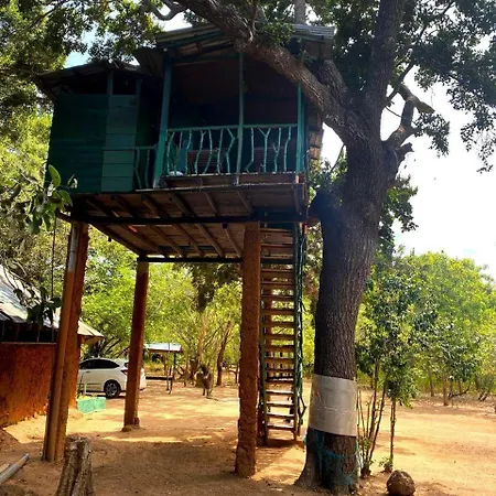 Single Trees Yala Villa Palatupana Exterior photo