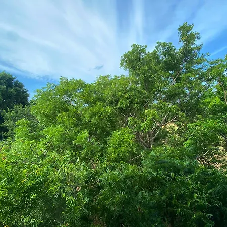 Single Trees Yala Villa Palatupana Exterior photo