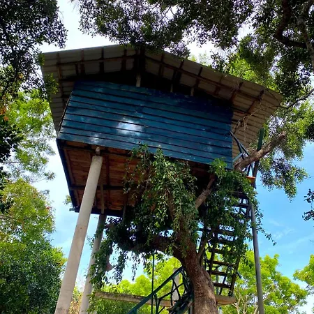 Single Trees Yala Villa Palatupana Exterior photo