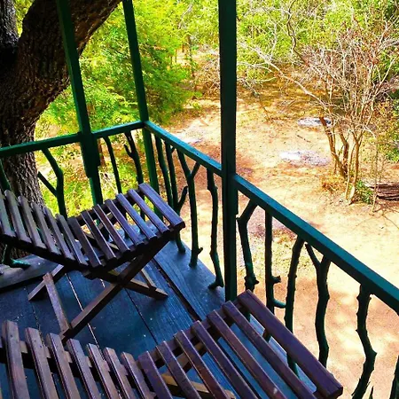 Single Trees Yala Villa Palatupana Exterior photo