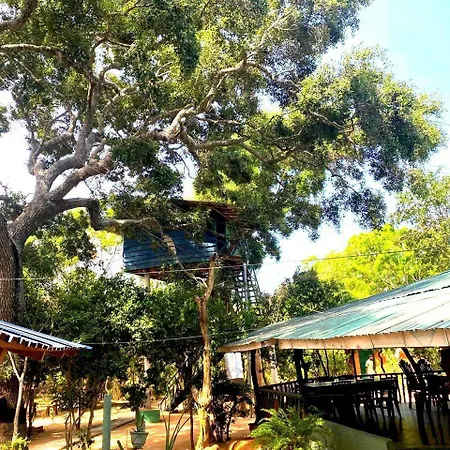 Single Trees Yala Villa Palatupana Exterior photo
