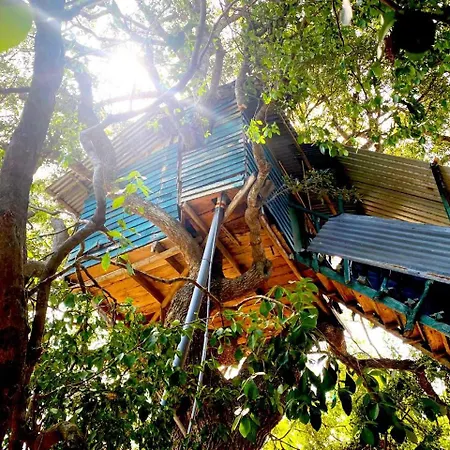 Single Trees Yala Villa Palatupana Exterior photo