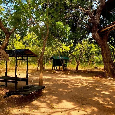 Single Trees Yala Villa Palatupana Exterior photo