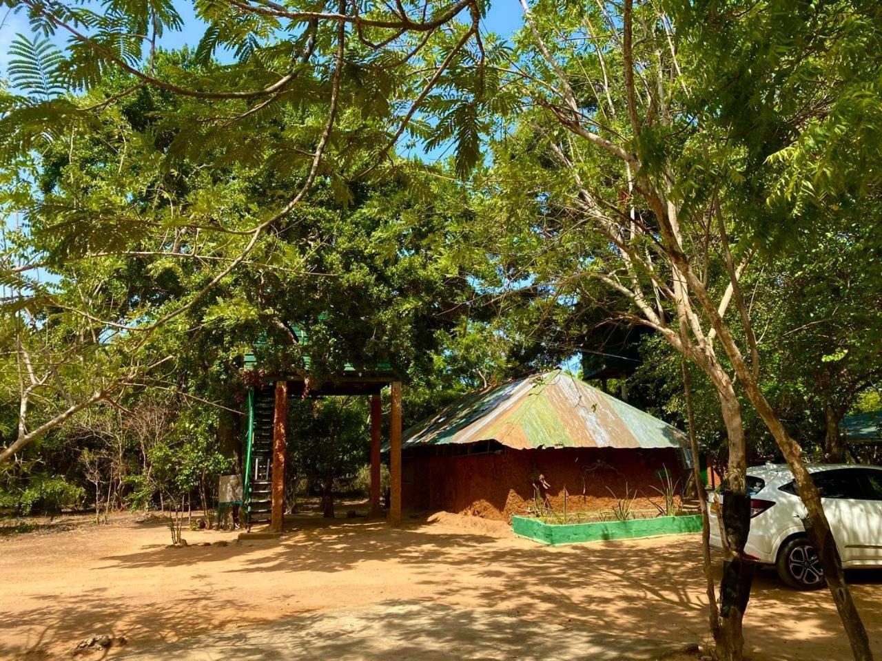 Single Trees Yala * Palatupana