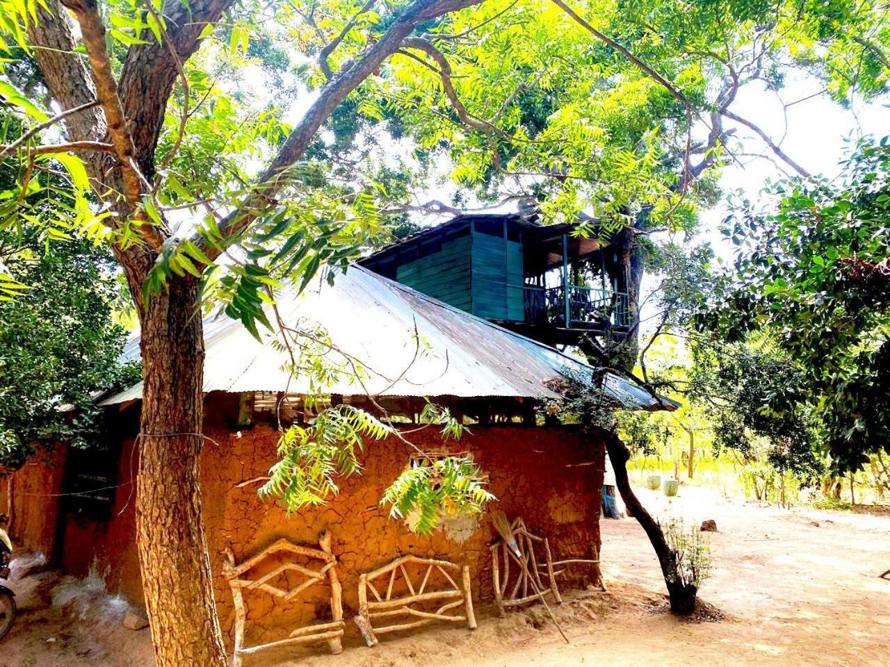 Lodge Single Trees Yala *